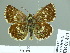  ( - HESP-EB 01813)  @11 [ ] Copyright (2010) Ernst Brockmann Research Collection of Ernst Brockmann