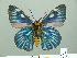  ( - HESP-EB 01821)  @14 [ ] Copyright (2010) Ernst Brockmann Research Collection of Ernst Brockmann