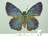  ( - HESP-EB 01821)  @13 [ ] Copyright (2010) Ernst Brockmann Research Collection of Ernst Brockmann