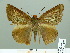  ( - HESP-EB 01822)  @14 [ ] Copyright (2010) Ernst Brockmann Research Collection of Ernst Brockmann