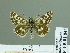  ( - HESP-EB 01844)  @11 [ ] Copyright (2010) Ernst Brockmann Research Collection of Ernst Brockmann