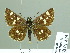  ( - HESP-EB 01845)  @14 [ ] Copyright (2010) Ernst Brockmann Research Collection of Ernst Brockmann