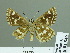  ( - HESP-EB 01846)  @14 [ ] Copyright (2010) Ernst Brockmann Research Collection of Ernst Brockmann