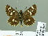  ( - HESP-EB 01847)  @13 [ ] Copyright (2010) Ernst Brockmann Research Collection of Ernst Brockmann