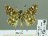  ( - HESP-EB 01848)  @13 [ ] Copyright (2010) Ernst Brockmann Research Collection of Ernst Brockmann