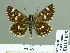  ( - HESP-EB 01848)  @13 [ ] Copyright (2010) Ernst Brockmann Research Collection of Ernst Brockmann
