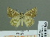 ( - HESP-EB 01849)  @13 [ ] Copyright (2010) Ernst Brockmann Research Collection of Ernst Brockmann