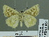  ( - HESP-EB 01851)  @13 [ ] Copyright (2010) Ernst Brockmann Research Collection of Ernst Brockmann