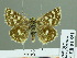  ( - HESP-EB 01851)  @14 [ ] Copyright (2010) Ernst Brockmann Research Collection of Ernst Brockmann