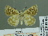  ( - HESP-EB 01852)  @13 [ ] Copyright (2010) Ernst Brockmann Research Collection of Ernst Brockmann