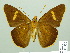  ( - HESP-EB 01936)  @12 [ ] Copyright (2010) Ernst Brockmann Research Collection of Ernst Brockmann