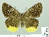  ( - HESP-EB 01979)  @14 [ ] Copyright (2010) Ernst Brockmann Research Collection of Ernst Brockmann