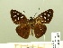  ( - HESP-EB 00 883)  @11 [ ] Copyright (2010) Unspecified Research Collection of Ernst Brockmann