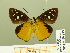  ( - HESP-EB 00 885)  @13 [ ] Copyright (2010) Unspecified Research Collection of Ernst Brockmann
