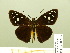  ( - HESP-EB 00 885)  @14 [ ] Copyright (2010) Unspecified Research Collection of Ernst Brockmann