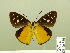  ( - HESP-EB 00 886)  @13 [ ] Copyright (2010) Unspecified Research Collection of Ernst Brockmann