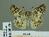  ( - HESP-EB 00 930)  @13 [ ] Copyright (2010) Unspecified Research Collection of Ernst Brockmann