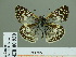  ( - HESP-EB 00 930)  @14 [ ] Copyright (2010) Unspecified Research Collection of Ernst Brockmann