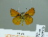  ( - HESP-EB 00 935)  @12 [ ] Copyright (2010) Unspecified Research Collection of Ernst Brockmann