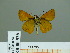  ( - HESP-EB 00 936)  @12 [ ] Copyright (2010) Unspecified Research Collection of Ernst Brockmann