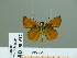  ( - HESP-EB 00 937)  @13 [ ] Copyright (2010) Unspecified Research Collection of Ernst Brockmann