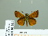  ( - HESP-EB 00 937)  @13 [ ] Copyright (2010) Unspecified Research Collection of Ernst Brockmann