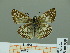  ( - HESP-EB 00 939)  @14 [ ] Copyright (2010) Unspecified Research Collection of Ernst Brockmann