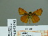  ( - HESP-EB 00 941)  @12 [ ] Copyright (2010) Unspecified Research Collection of Ernst Brockmann