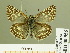  ( - HESP-EB 00 956)  @14 [ ] Copyright (2010) Unspecified Research Collection of Ernst Brockmann
