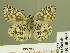  ( - HESP-EB 00 960)  @13 [ ] Copyright (2010) Unspecified Research Collection of Ernst Brockmann