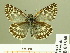  ( - HESP-EB 00 960)  @14 [ ] Copyright (2010) Unspecified Research Collection of Ernst Brockmann