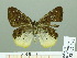  ( - HESP-EB 02024)  @14 [ ] Copyright (2010) Ernst Brockmann Research Collection of Ernst Brockmann