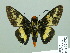  ( - HESP-EB 02072)  @14 [ ] Copyright (2010) Ernst Brockmann Research Collection of Ernst Brockmann
