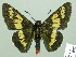  (Sarbia - HESP-EB 02087)  @15 [ ] Copyright (2010) Ernst Brockmann Research Collection of Ernst Brockmann