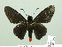  ( - HESP-EB 02092)  @12 [ ] Copyright (2010) Ernst Brockmann Research Collection of Ernst Brockmann