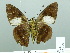  ( - HESP-EB 02095)  @12 [ ] Copyright (2010) Ernst Brockmann Research Collection of Ernst Brockmann