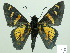  ( - HESP-EB 02104)  @13 [ ] Copyright (2010) Ernst Brockmann Research Collection of Ernst Brockmann
