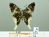  ( - HESP-EB 02127)  @13 [ ] Copyright (2010) Ernst Brockmann Research Collection of Ernst Brockmann