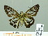  ( - HESP-EB 02130)  @12 [ ] Copyright (2010) Ernst Brockmann Research Collection of Ernst Brockmann