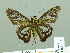  ( - HESP-EB 02139)  @12 [ ] Copyright (2010) Ernst Brockmann Research Collection of Ernst Brockmann
