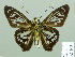  ( - HESP-EB 02165)  @13 [ ] Copyright (2010) Ernst Brockmann Research Collection of Ernst Brockmann