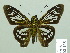  ( - HESP-EB 02165)  @13 [ ] Copyright (2010) Ernst Brockmann Research Collection of Ernst Brockmann