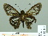  ( - HESP-EB 02168)  @12 [ ] Copyright (2010) Ernst Brockmann Research Collection of Ernst Brockmann