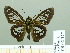  ( - HESP-EB 02177)  @13 [ ] Copyright (2010) Ernst Brockmann Research Collection of Ernst Brockmann