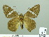  ( - HESP-EB 02216)  @12 [ ] Copyright (2010) Ernst Brockmann Research Collection of Ernst Brockmann