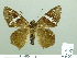  ( - HESP-EB 02216)  @13 [ ] Copyright (2010) Ernst Brockmann Research Collection of Ernst Brockmann