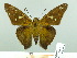  ( - HESP-EB 02284)  @14 [ ] Copyright (2010) Ernst Brockmann Research Collection of Ernst Brockmann