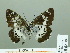  ( - HESP-EB 02304)  @13 [ ] Copyright (2010) Ernst Brockmann Research Collection of Ernst Brockmann