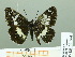  ( - HESP-EB 02304)  @13 [ ] Copyright (2010) Ernst Brockmann Research Collection of Ernst Brockmann