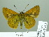  ( - HESP-EB 02311)  @14 [ ] Copyright (2010) Ernst Brockmann Research Collection of Ernst Brockmann